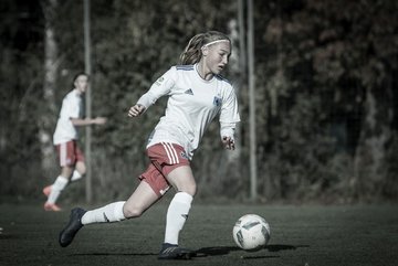 Bild 2113 - B-Juniorinnen Hamburger SV - FC Neubrandenburg 04 : Ergebnis: 3:1